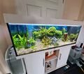 aquarium komplett mit unterschrank gebraucht /120x40x56