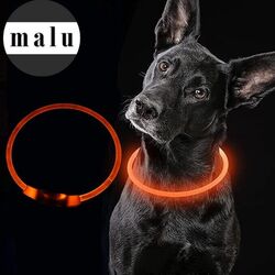 LED Leuchthalsband LED Hundehalsband zuschneidbar Blinklicht USB wiederaufladbarstarke Leuchtkraft ✔️ / Wiederaufladbar ✔️