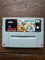 Asterix & Obelix Super Nintendo SNES Modul