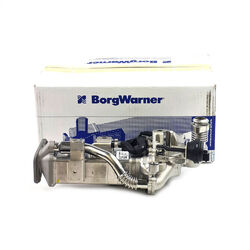 Borgwarner AGR Modul für BMW 11717823210 F20 F21 F30 F31 F10 F11 F25 E84 N47 N57Updateversion 2024 