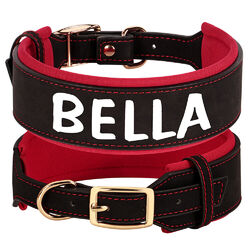 Leder Hundehalsband mit Name Breit Gepolstert Halsband Rottweiler Labrador M-XL