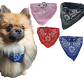 Hunde Halsband Bandana Hundehalsband Mit Tuch ROT Verstellbar Kettenhalsband