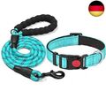 haapaw reflektierendes Hundehalsband gepolstert mit weichem Neopren