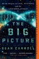 Sean Carroll | The Big Picture | Taschenbuch | Englisch (2017) | 464 S.