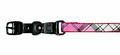 Hundehalsband pink/weiß/schwarz M Nylon pink schwarze Lederschnalle verstellbar