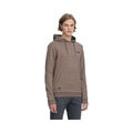 Ragwear Petyo Herren Kapuzenpullover