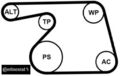 Continental CTAM 6PK1318WP1 Wasserpumpe + Keilrippenriemensatz 