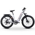 Elektrofahrrad 26 Zoll 1000W E-Bike 17.5Ah Samsung Pedelec 48V E-MTB 840Wh Ebike