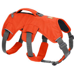 Ruffwear WEB MASTER HARNESS™ |30103-850| Mehrzweckgeschirr, Anatomisches Design