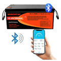 Bluetooth 12V 100AH 200Ah Lithium Batterie LiFePO4 Smart Akku BMS 15000+ Zyklen