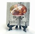 Personalisiert Tiergrabstein Gedenktafel Marmor Stein Gedenkplatte Katze Hund