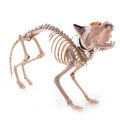 Halloween-Deko-Figur Katzen-Skelett, ca. 60x17x30cm