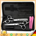 Haarschere Haareschneiden Profi Schere 6" Set Etui Haare Friseurschere Retoo