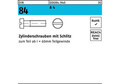 Reyher Zylinderschraube DIN 84/ISO 1207 Schlitz M 5 x 8 A 4