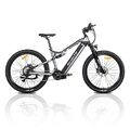 1000W Elektrofahrrad 48v 19,2Ah E Mountainbike 29'' E-Bike 27 Gang Erwachsene DE