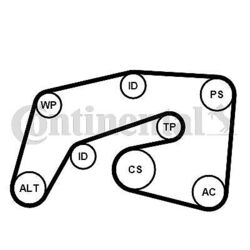 CONTINENTAL CTAM Keilrippenriemensatz 7PK2035K1 für CHRYSLER JEEP MERCEDES-BENZ