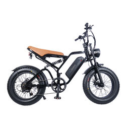 20 Zoll Mountainbike E-Fahrrad Elektrofahrrad 750W 15 AH 48V MTB Fatbike E Bike