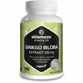 GINKGO BILOBA 100 mg hochdosiert vegan Kapseln 100 St PZN16018605