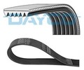 DAYCO Keilrippenriemen 6PK892 für AUDI MINI OPEL