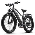 Elektrofahrrad 26 Zoll E Mountainbike 1000W E-Bike 48V 20AH Akku Moped ebike