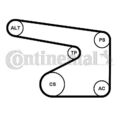 CONTINENTAL CTAM Keilrippenriemensatz  u.a. für OPEL, PASSEND FÜR SUZUKI
