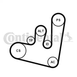 ORIGINAL® Continental Ctam Keilrippenriemensatz für VW Golf IV Golf IV Variant