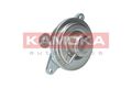 KAMOKA AGR Ventil 19012 für OPEL OMEGA V94 Caravan VECTRA J96 ASTRA CC T98 U99