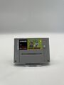 Tiny Toon Adventures Buster Busts Loose! - Super Nintendo - SNES - Modul