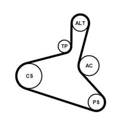 CONTINENTAL CTAM Keilrippenriemensatz 6DPK1195K1 für VW AUDI SEAT SKODA