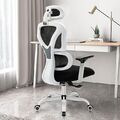 Bürostuhl Ergonomischer Schreibtischstuhl, Chefsessel mit 3D verstellbare