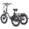 Fafrees Elektro Dreirad E-Bike 20 Zoll 3 Räder Fahrrad 500W Cargo Trike mit Korb