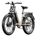 26 Zoll E Mountainbike 2000W Elektrofahrrad Doppelmotor Pedelec 48V Ebike 25km/h