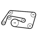 CONTINENTAL CTAM Keilrippenriemensatz 6PK2260K2 für MERCEDES-BENZ