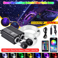 2m-4m Auto RGBW LED Star/Twinkle Sternenhimmel Meteor Lichtfaser Glasfaser Optik