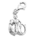 Anhänger Einhänger Charm, Sternzeichen Wassermann, 925 Silber, Damen