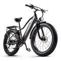 26 Zoll Elektrofahrrad 26*4.0 Fettreifen City ebike 48V 20Ah E Mountainbike