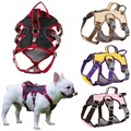 Hundegeschirr Brustgeschirr Hunde Katzen verstellbar Gr. S M L gepolstert Nylon