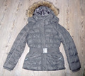 Daunenjacke  edc  ESPRIT Damen Winter Jacke Steppjacke in Gr. XS 36 Olivgrau