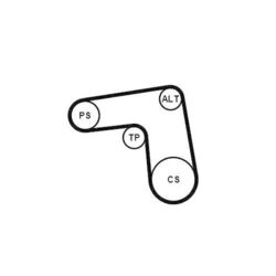 1x Keilrippenriemensatz CONTINENTAL CTAM 7PK1076K1 passend für