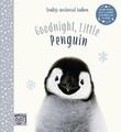 Goodnight, Little Penguin: Simple stories sure to soo by Wood, Amanda 1916180590