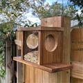 Eichhörnchen Futterhaus Futterkasten Futterstation Nussspender Holz wetterfest