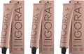 Schwarzkopf Igora Royal Absolutes 6-460 Dunkelblond Beige Schoko Natur 3x60 ml