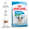 Royal Canin Mini Puppy Hundefutter Trockenfutter  8kg