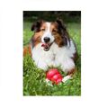 Classic Kauen Hundespielzeug