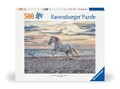 Adult puzzle 500 Teile - Pferd am Strand | Spiel | Erwachsenenpuzzle | 12000222