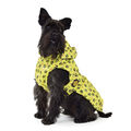 Fashion Dog Hunde Regenmantel mit Kapuze - 47 cm Hundemantel Regenschutz Regen