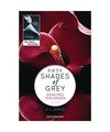 Fifty Shades of Grey - Geheimes Verlangen: Band 1 - Roman, E L James