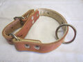 Hundehalsband aus starken Rindleder natur mit Filz unterlegt Br. 30mm / 40-46 cm