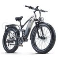 Elektrofahrrad 26 Zoll Mountainbike 1000W Trekking E-Bike 48V 17.5AH Pedelec