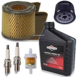 Wartung Service Kit Briggs Stratton Vanguard V-Twin Motore 12 - 24 PS Generator